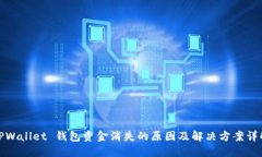 TPWallet 钱包资金消失的原